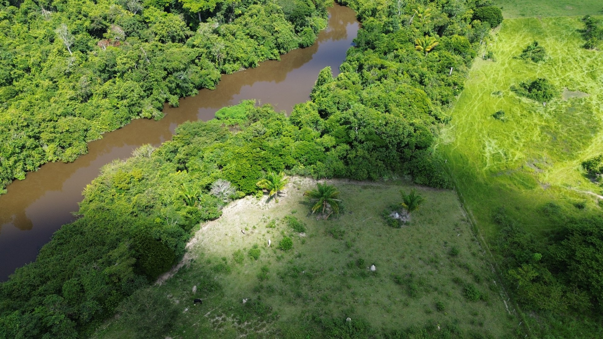 IMOVEIS RURAIS A VENDA 66 99720-5731