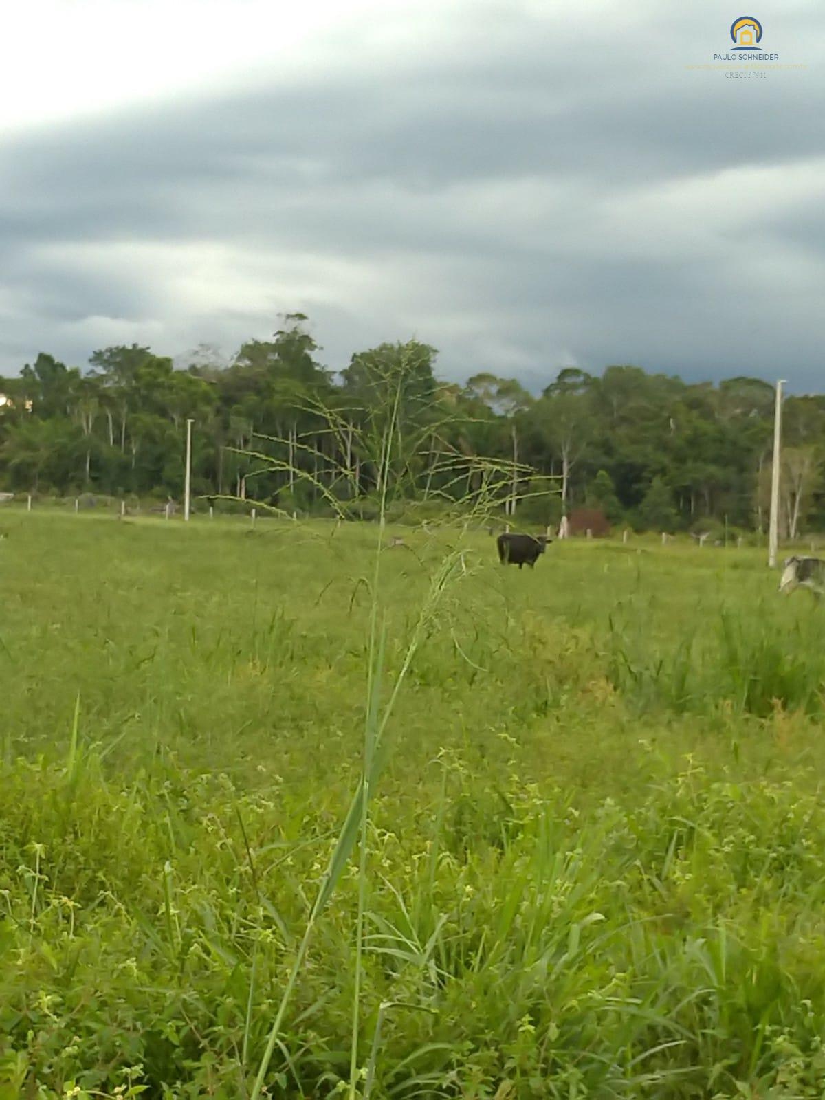 Fazenda a Venda em Guarantã do Norte