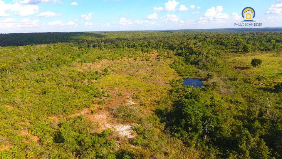 FAZENDA DE 195 ALQUEIRES ESCRITURADA Á VENDA